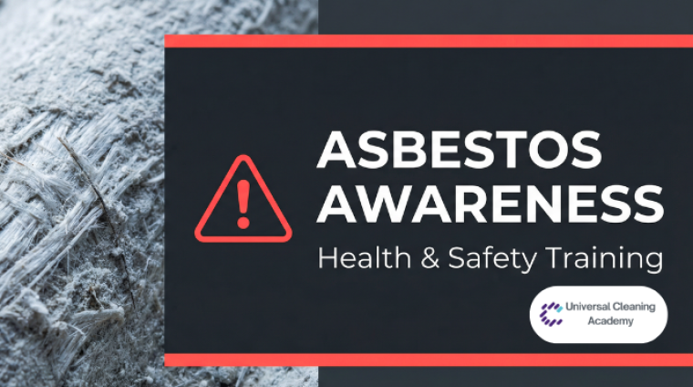 Untitled design (24)